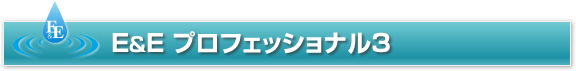 E&Eプロフェッショナル3